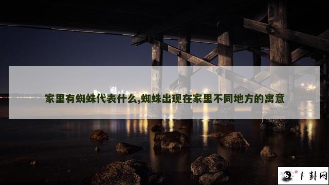 家里有蜘蛛代表什么,蜘蛛出现在家里不同地方的寓意
