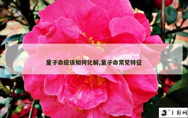 童子命应该如何化解,童子命常见特征