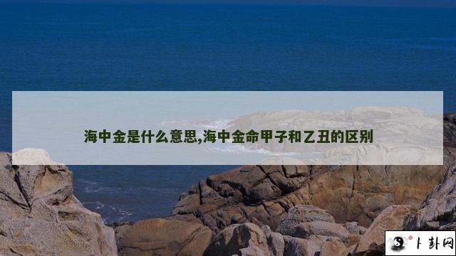 海中金是什么意思,海中金命甲子和乙丑的区别