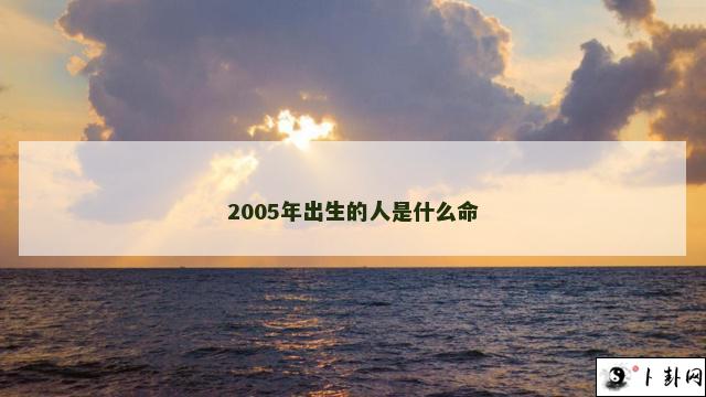 2005年出生的人是什么命