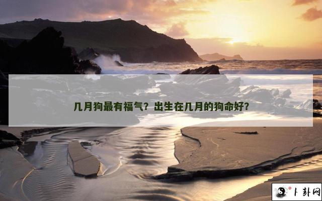 几月狗最有福气？出生在几月的狗命好？