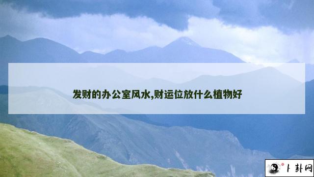 发财的办公室风水,财运位放什么植物好