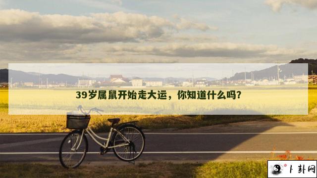 39岁属鼠开始走大运，你知道什么吗？