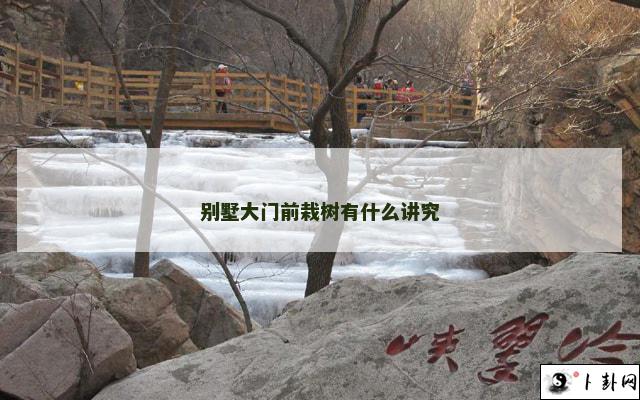 别墅大门前栽树有什么讲究