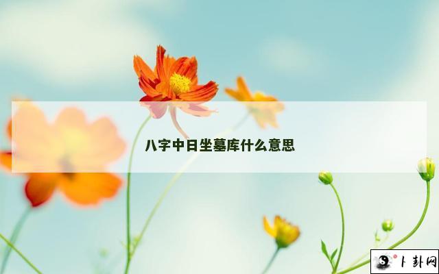 八字中日坐墓库什么意思