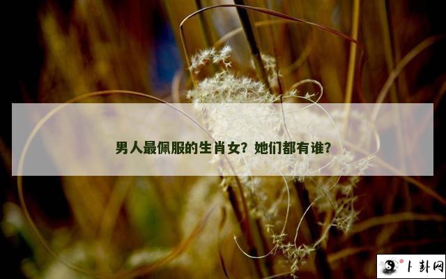 男人最佩服的生肖女？她们都有谁？
