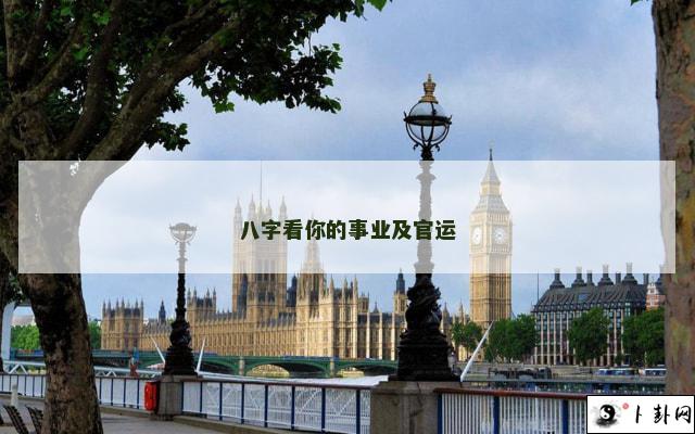八字看你的事业及官运