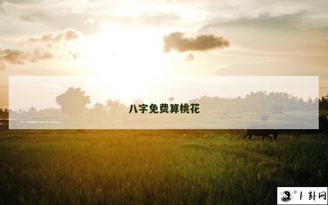 八字免费算桃花