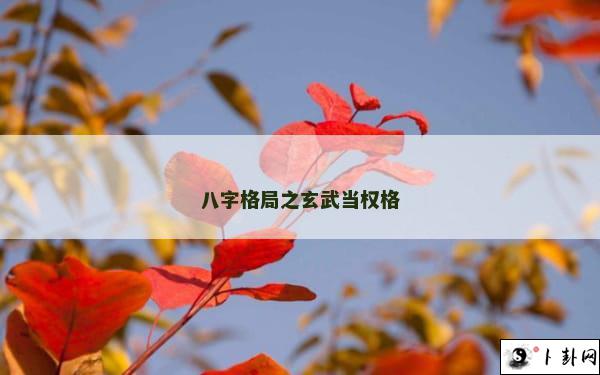 八字格局之玄武当权格