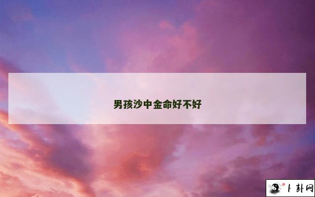 男孩沙中金命好不好