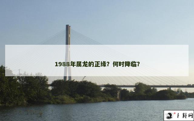 1988年属龙的正缘？何时降临？