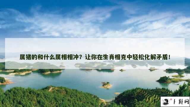 属猪的和什么属相相冲？让你在生肖相克中轻松化解矛盾！
