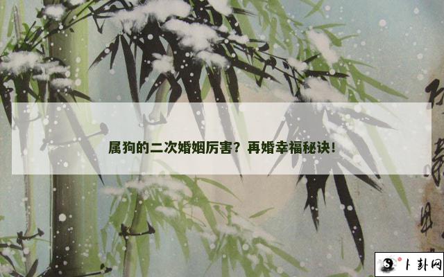 属狗的二次婚姻厉害？再婚幸福秘诀！